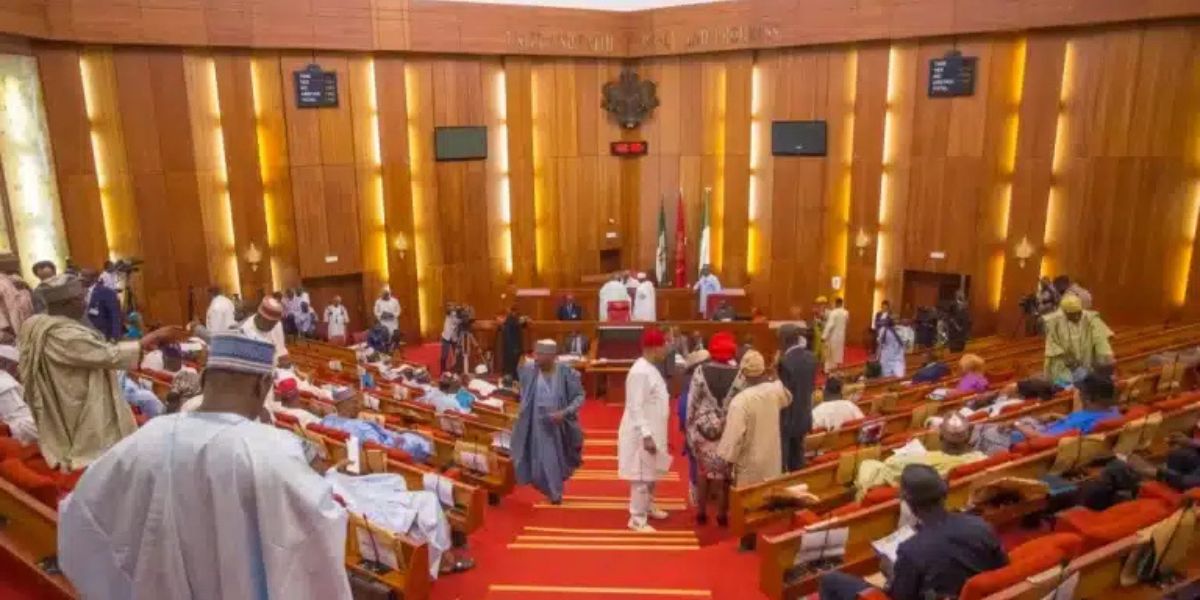 Tinubu's 2025 budget passes second reading in Senate