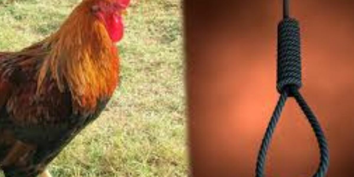 Fowl Theft Death Sentence: Osun court denies misrepresentation of facts