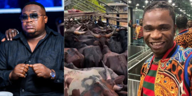 "Akpi nwamama still dey cell Boss" - Chief Priest dragged after showing off 47 cows gifted to friend for mum’s burial