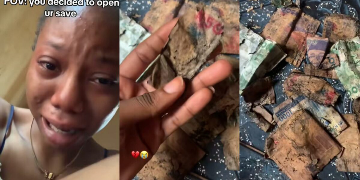 Lady bursts into tears as she discovers the money she saved has decayed