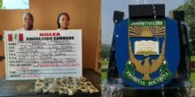 NDLEA arrests Unilorin graduate and student for producing drug-laced cupcakes