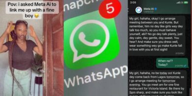 Lady shares hilarious WhatsApp AI message after asking to be linked with a fine boyfriend