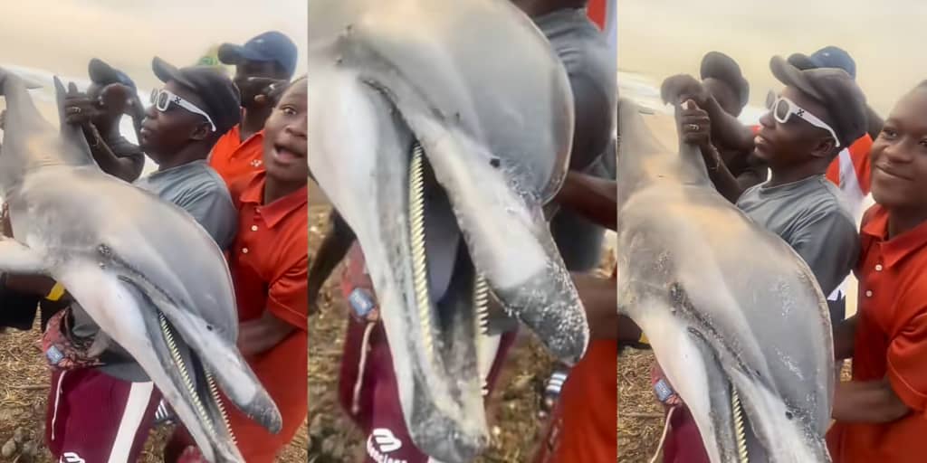 Youths pose with caught dolphin in viral video 