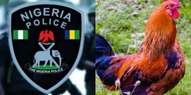 Man arrested for stealing ₦600k TV days after Gov. Adeleke pardoned him for stealing chicken