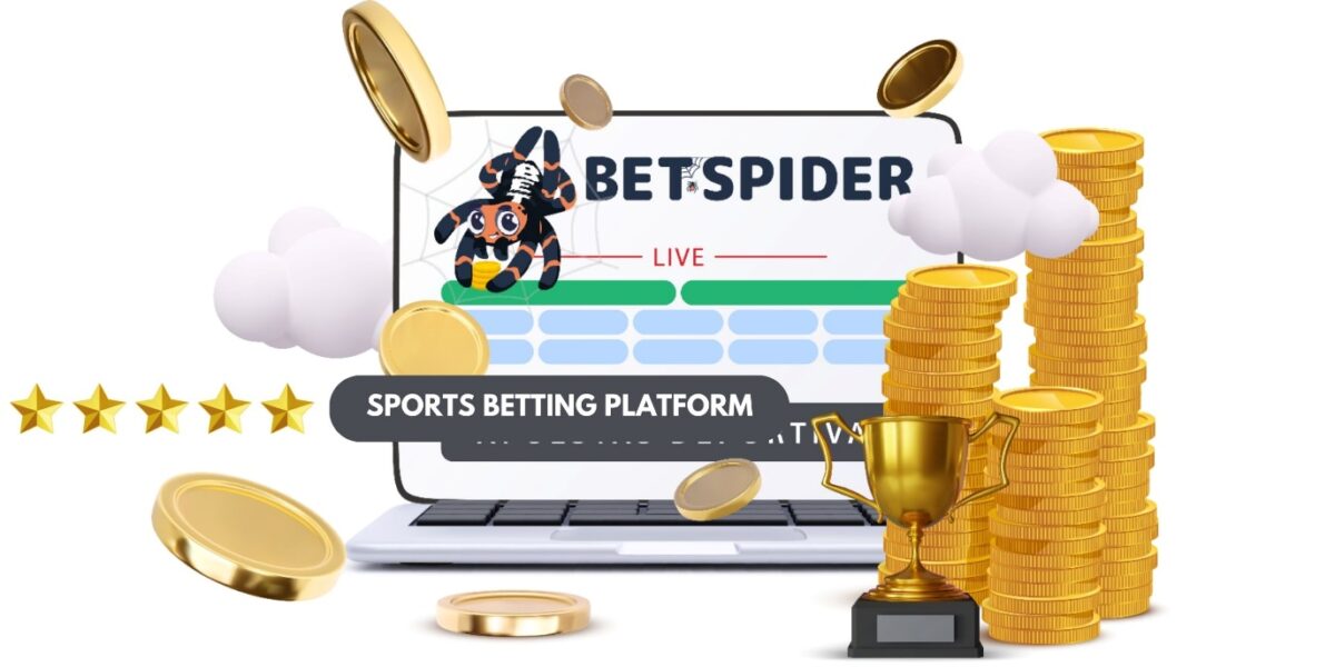 Overview of the new promising betting platform BetSpider