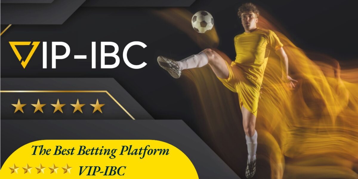 An Analysis of the Best Betting Platform VIP-IBC