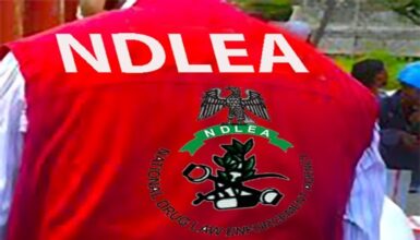 NDLEA arrested 546, secured 46 convictions in 2024 – Oyo commander