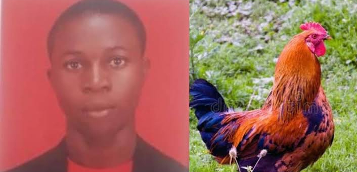 Man arrested for stealing ₦600k TV days after Gov. Adeleke pardoned him for stealing chicken