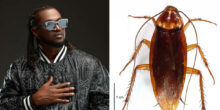 "Una Waste My Time" - Paul Okoye recounts how his teacher asked him to label cockroach