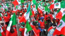 Osun LG Crisis: NLC disregards ultimatum, insists workers won't return to work amid tensions