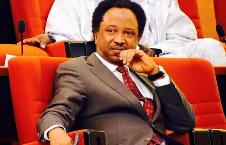 Shehu Sani sends message to Nigerians hiding in US 