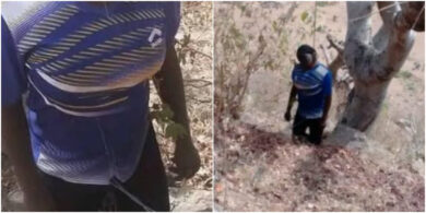 Young lady found dead hanging from a tree in Gombe