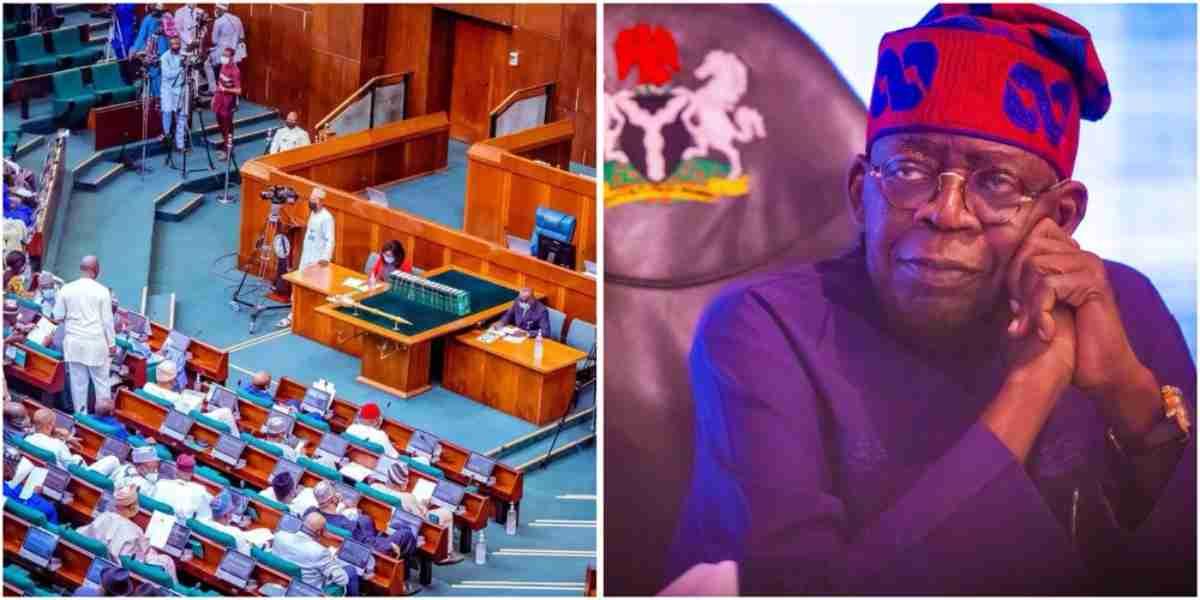 Bill passes to establish office of Prime Minister in Nigeria