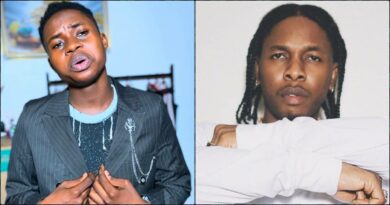 Peller apologizes for calling Runtown an 'up-and-coming artist'