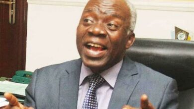 “Reclaim Nigeria now from older generation” - Falana charges youths
