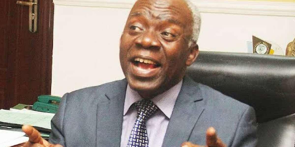 “Reclaim Nigeria now from older generation” - Falana charges youths